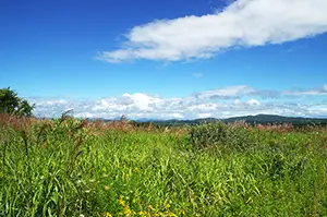 開発連携処理テスト用 介護　介護職　/　正社員（夜勤あり）